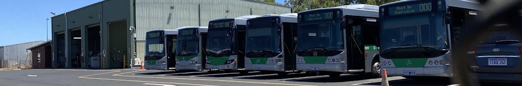 Transperth guy