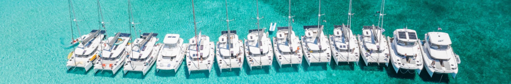 leopardcatamaran