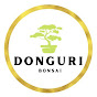 DONGURI BONSAI