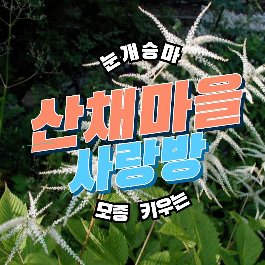 산채마을 사랑방 - YouTube 산채마을 사랑방