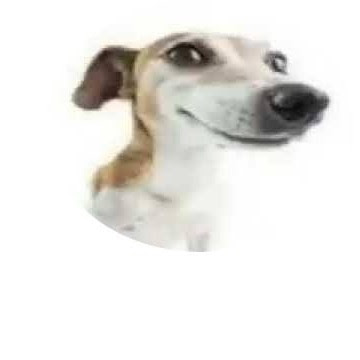 UCJTjS4UXAJzJbJYt60UwxSg