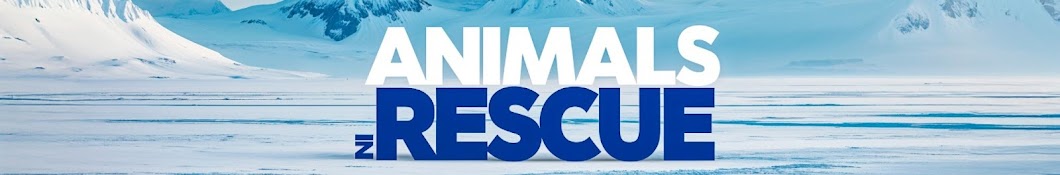 Animals Rescue 