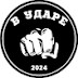 logo В ударе