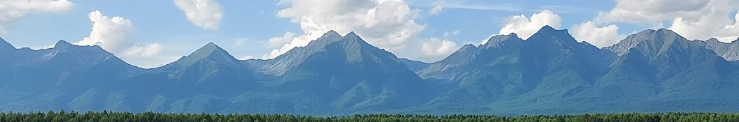 Психология с Оракулом. 