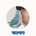 Parrot trainer 끼룩아빠