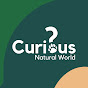 Curious?: Natural World