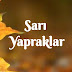 Sarı Yapraklar