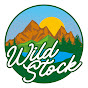キャンプ型音楽メディア「WildStock」