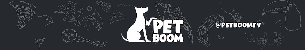 Pet Boom