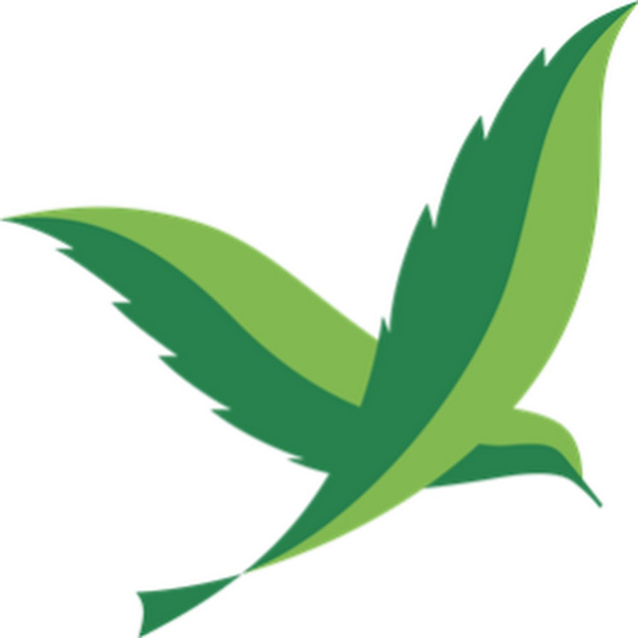 Зеленый логотип