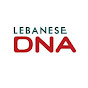 Lebanese Dream News Agency