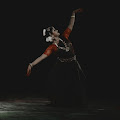 Artist Thumbnail