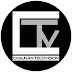 logo Chauhan TechVision