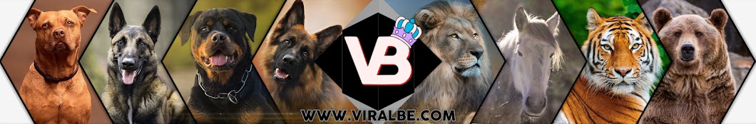 ViralBe Banner
