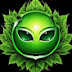 logo greenGLUKs