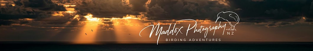 Maddox photography NZ