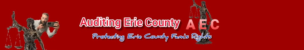 Auditing Erie County Banner