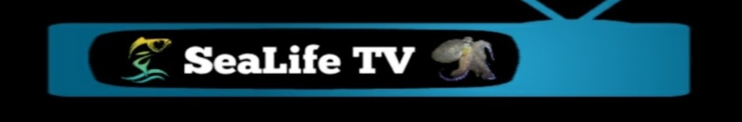 SeaLife TV