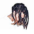 Artist Thumbnail