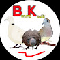 Burung Kesilir 