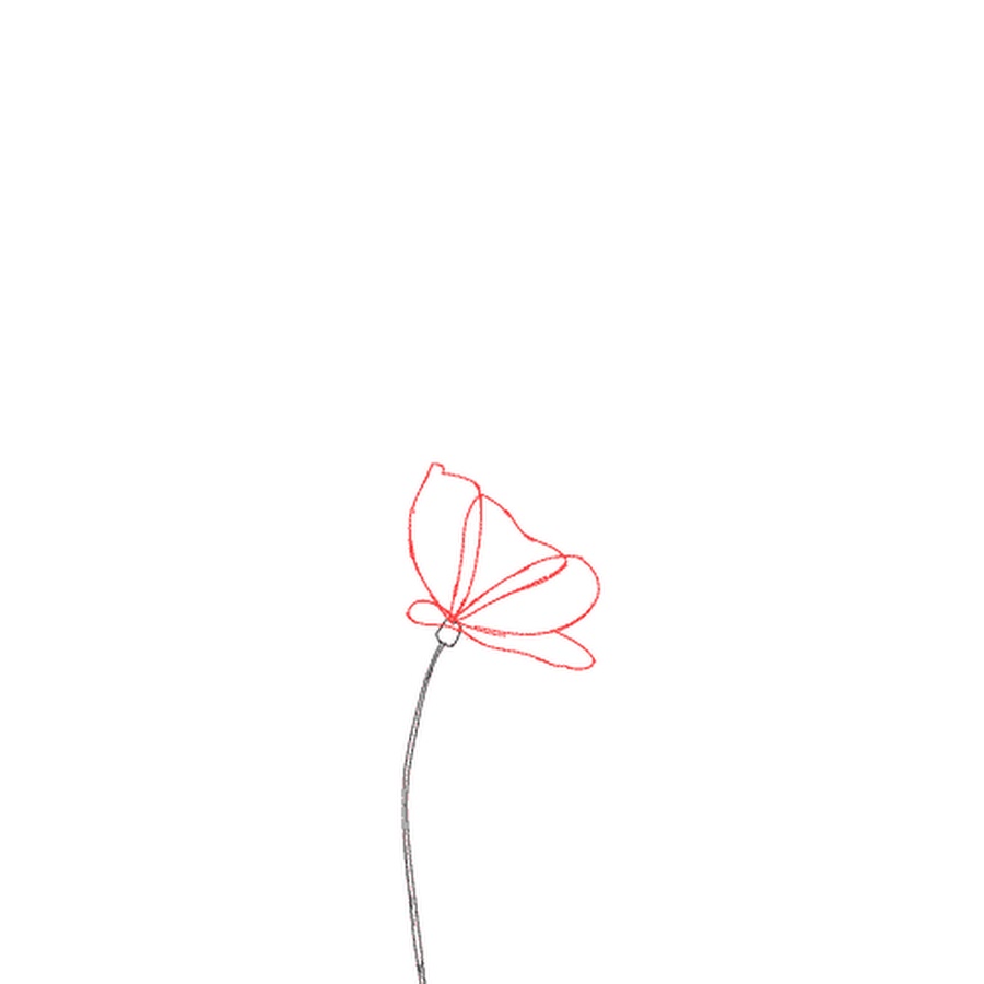 Цветок простой гиф