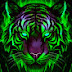 logo Tiger Flame