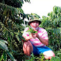 Highland Farmers of Central Highlands