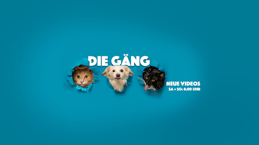 Tobi Langer banner