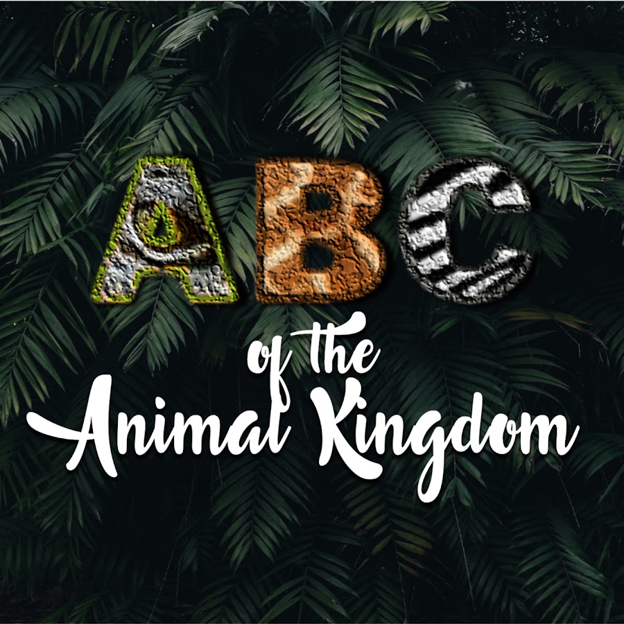 ABC of the animal Kingdom
