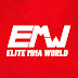 logo Elite MMA World