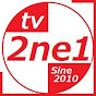 tv2ne1 (武道と選挙) ティービー トゥエニィワン