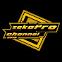 zekaPro channel