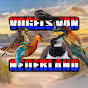 Vogels van Nederland