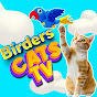 Birders Cat TV