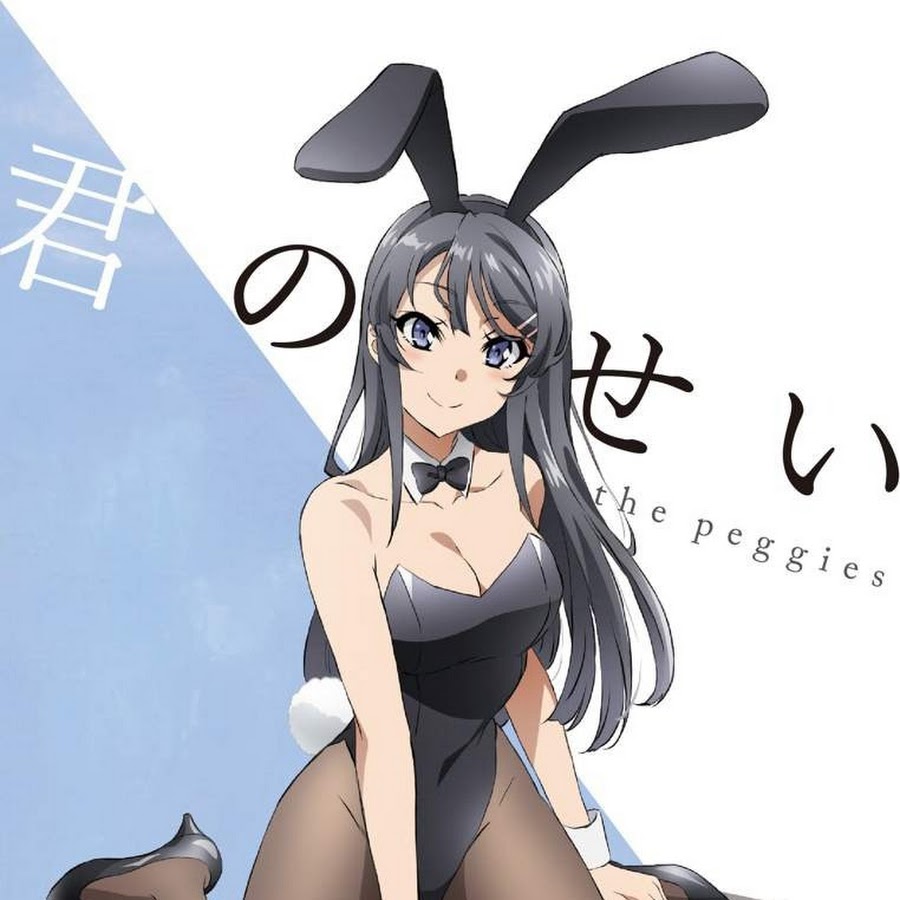 Wa bunny. Этот глупый Свин не понимает мечту девочки зайки. Mai Sakurajima Bunny.