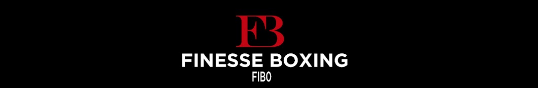 Finesse Boxing