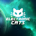 Electronic Cats