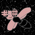 logo Zoanfly