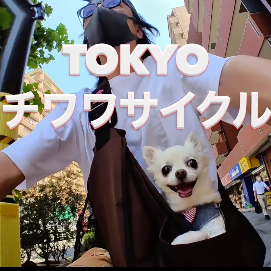 Tokyo Chihuahua Cycle - YouTube