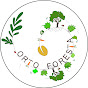 OrtoForesta - Living Soil Garden