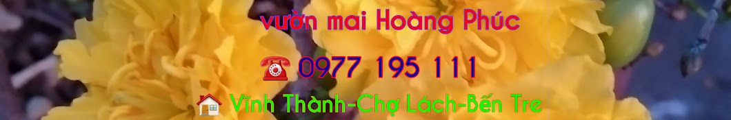 Vườn Mai Hoàng Phúc