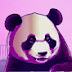 Pink Panda