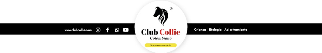 Club Collie Colombiano