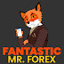 logo Fantastic Mr. Forex