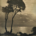 Artist Thumbnail