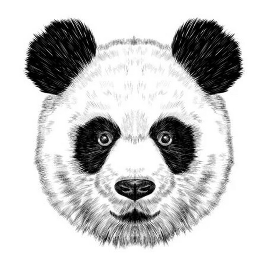 Black white panda