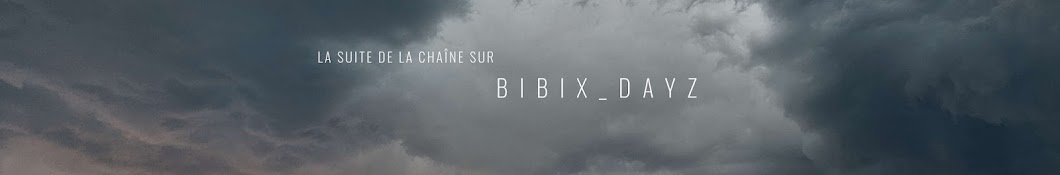 BIBIX Banner