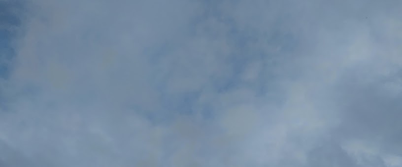 Artist Thumbnail