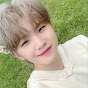 fairywoozi