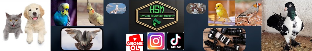 HayvanSevenlerMeziyet